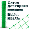 Сетка для гороха 2х20
